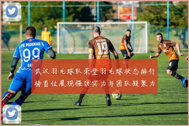 武汉羽毛球队荣登羽毛球状态排行榜首位展现强劲实力与团队凝聚力