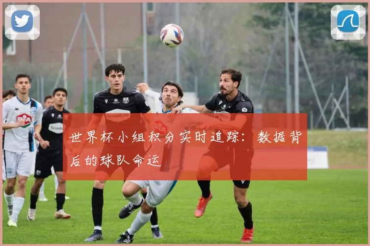 世界杯小组积分实时追踪：数据背后的球队命运