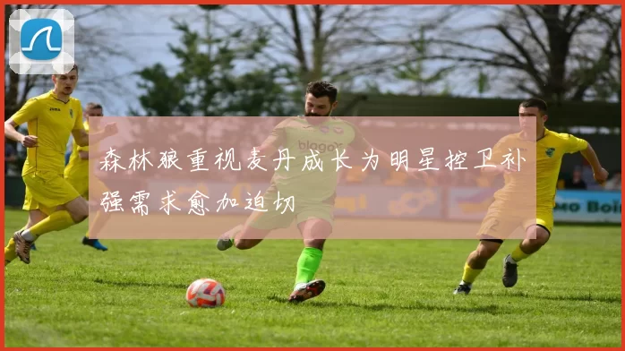 森林狼重视麦丹成长为明星控卫补强需求愈加迫切