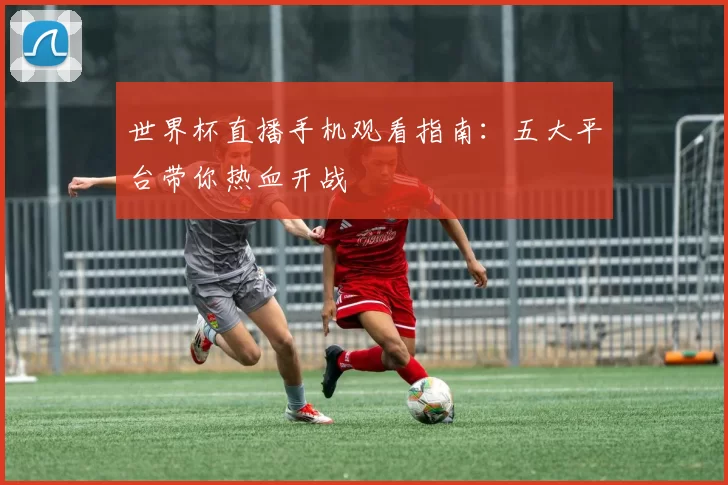 世界杯直播手机观看指南：五大平台带你热血开战