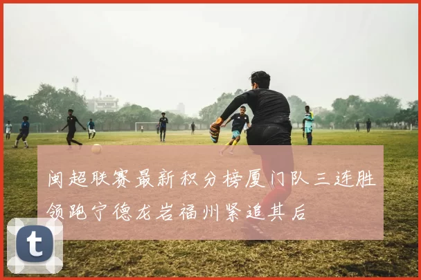 闽超联赛最新积分榜厦门队三连胜领跑宁德龙岩福州紧追其后
