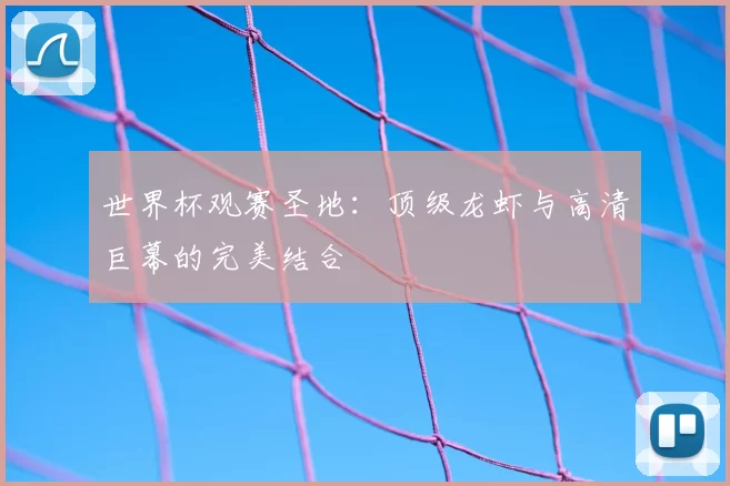 世界杯观赛圣地:顶级龙虾与高清巨幕的完美结合