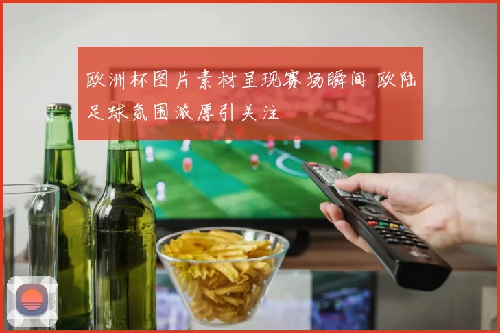 欧洲杯图片素材呈现赛场瞬间 欧陆足球氛围浓厚引关注