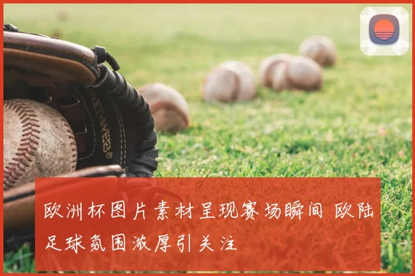 欧洲杯图片素材呈现赛场瞬间 欧陆足球氛围浓厚引关注