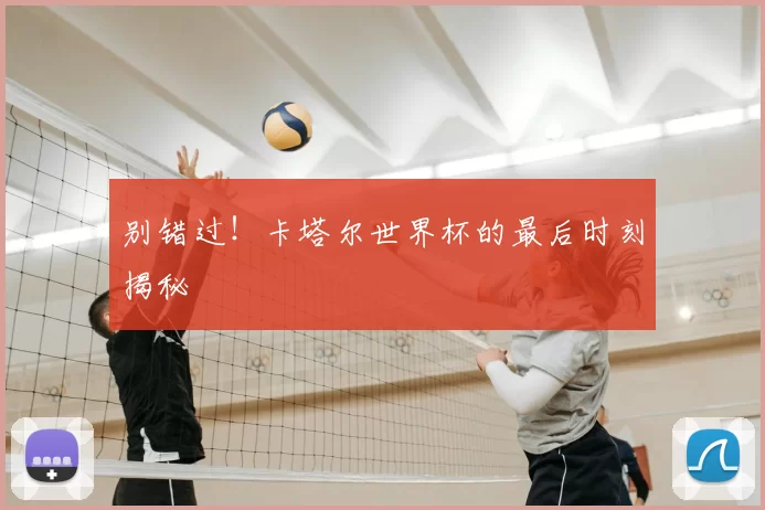 别错过！卡塔尔世界杯的最后时刻揭秘