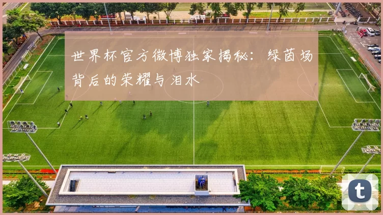 世界杯官方微博独家揭秘：绿茵场背后的荣耀与泪水