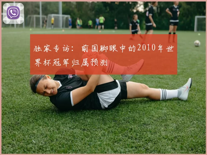 独家专访：前国脚眼中的2010年世界杯冠军归属预测