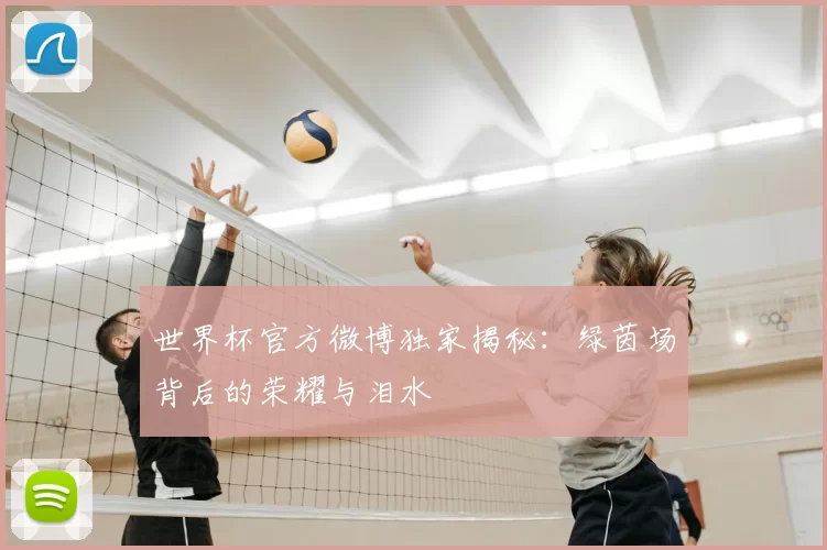 世界杯官方微博独家揭秘：绿茵场背后的荣耀与泪水