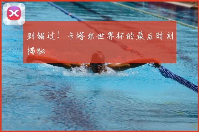 别错过!卡塔尔世界杯的最后时刻揭秘